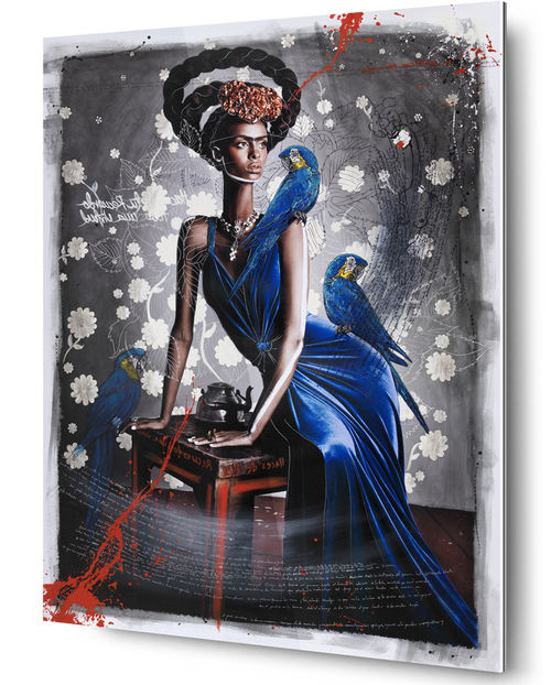 Black Frida Seated with Blue Macaws