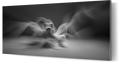 In-Visible 13