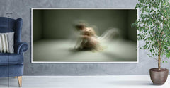 In-Visible 19