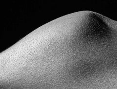 Bodyland 1