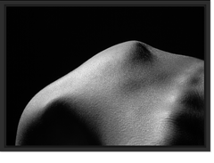 Bodyland 1